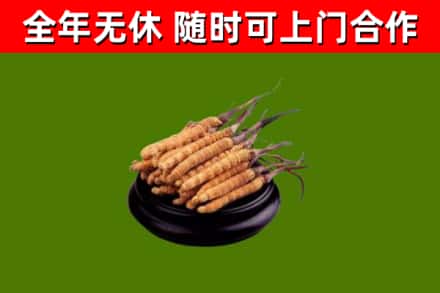 微山县烟酒回收冬虫夏草.jpg